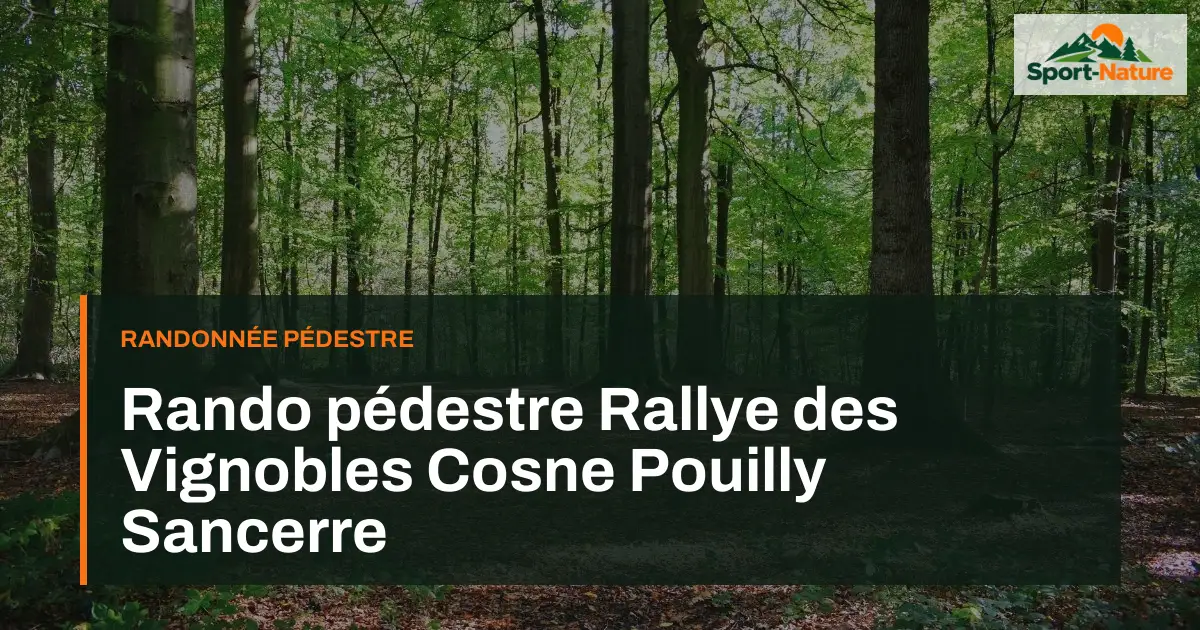 Rando pédestre Rallye des Vignobles Cosne Pouilly Sancerre