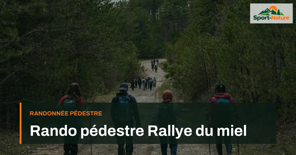 Rando pédestre Rallye du miel