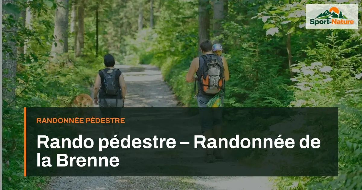Rando pédestre – Randonnée de la Brenne