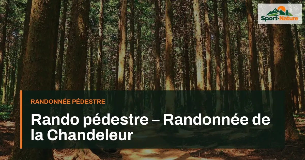 Rando pédestre – Randonnée de la Chandeleur