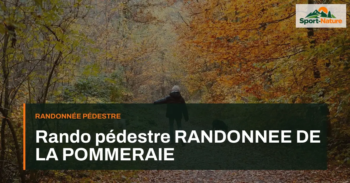 Rando pédestre RANDONNEE DE LA POMMERAIE