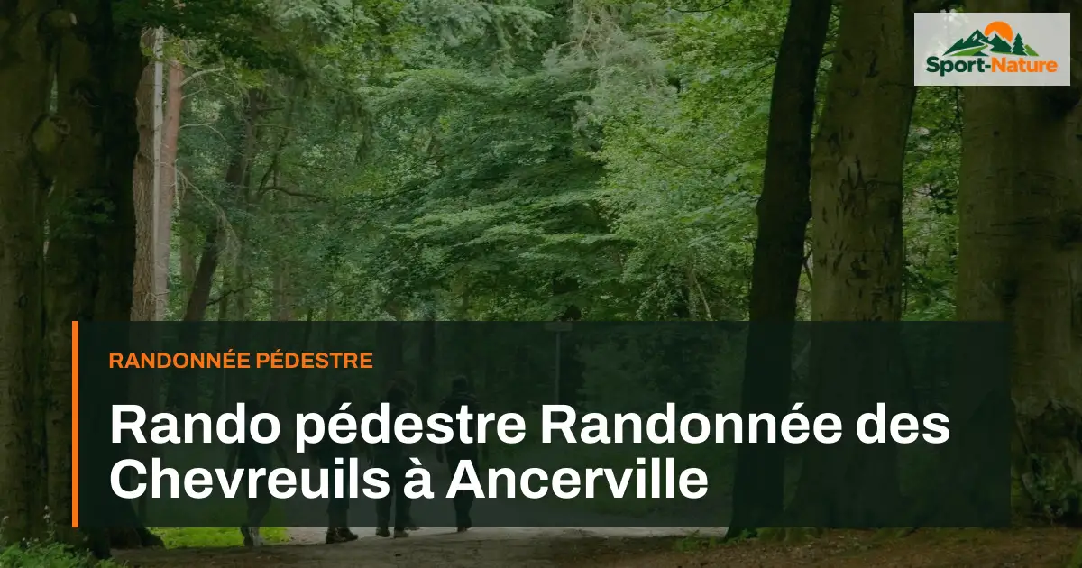 Rando pédestre Randonnée des Chevreuils à Ancerville