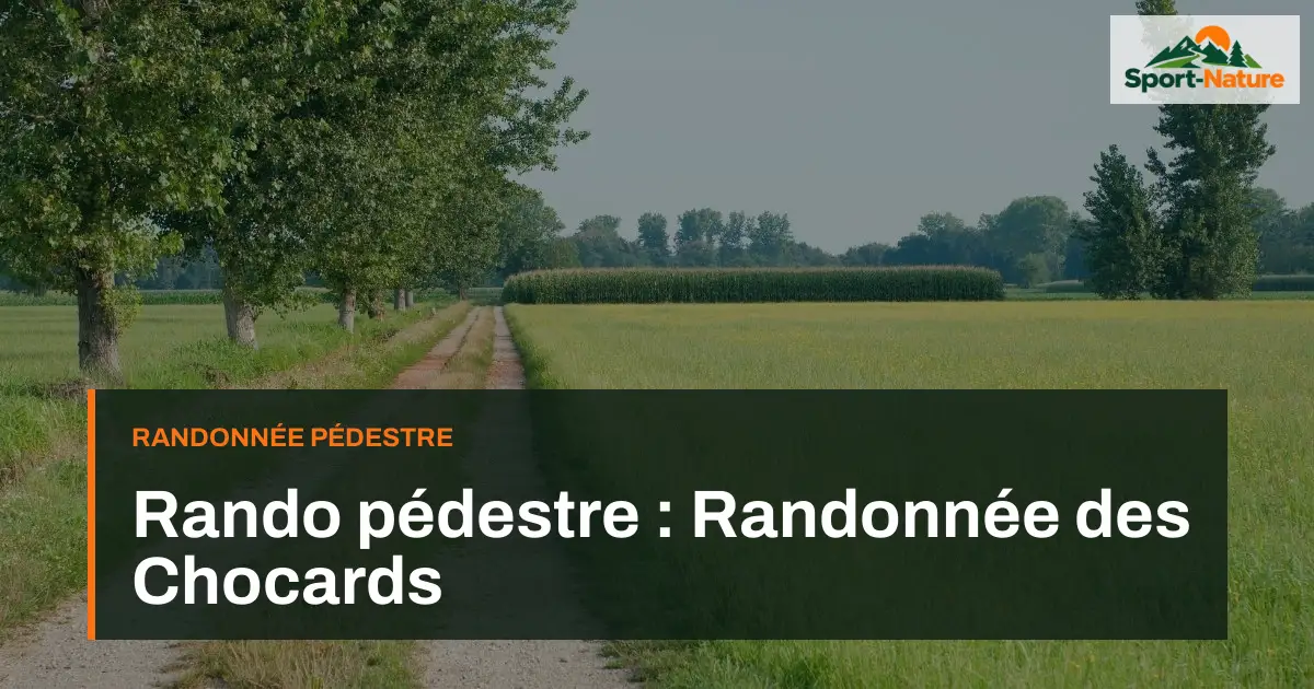 Rando pédestre : Randonnée des Chocards