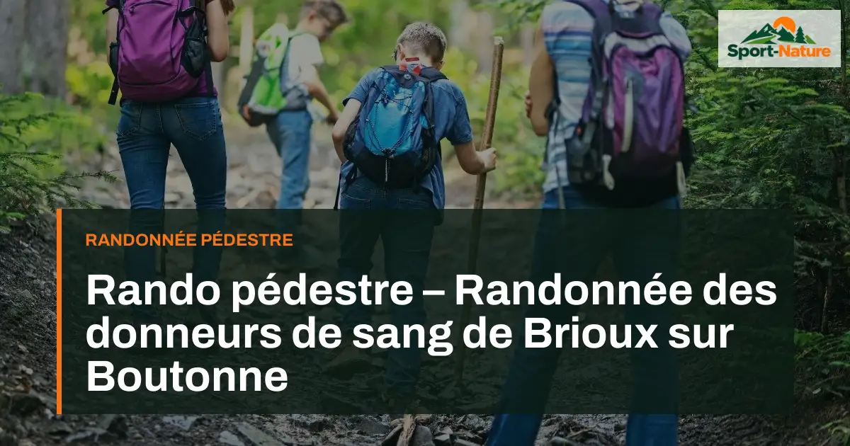 Rando pédestre – Randonnée des donneurs de sang de Brioux sur Boutonne