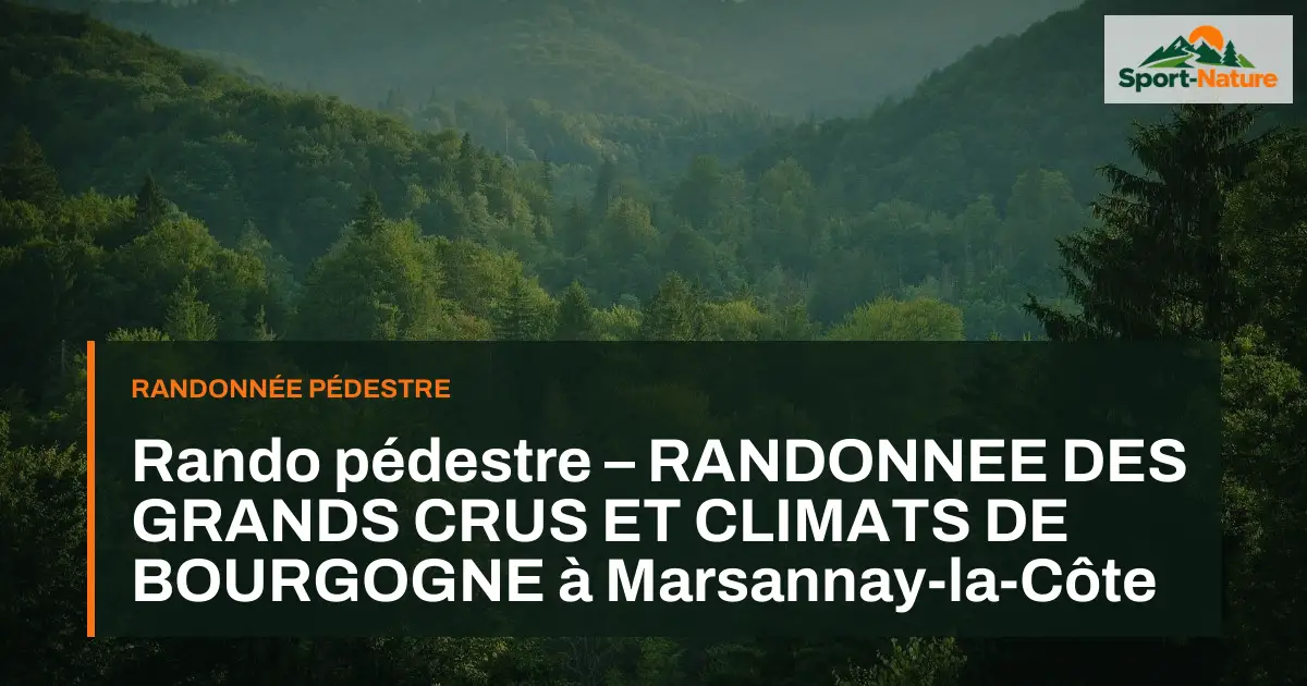 Rando pédestre – RANDONNEE DES GRANDS CRUS ET CLIMATS DE BOURGOGNE à Marsannay-la-Côte