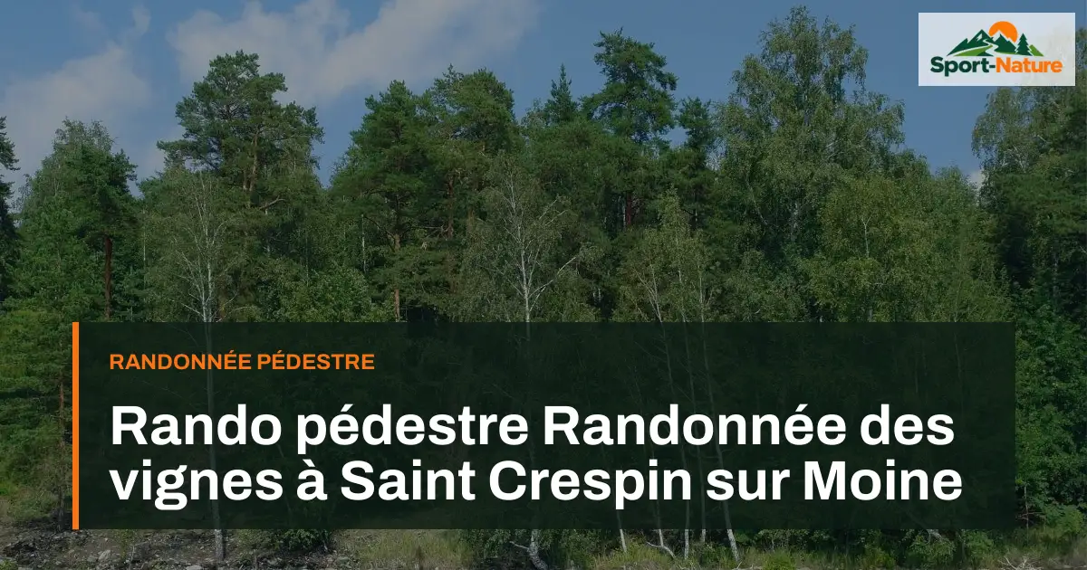 Rando pédestre Randonnée des vignes à Saint Crespin sur Moine