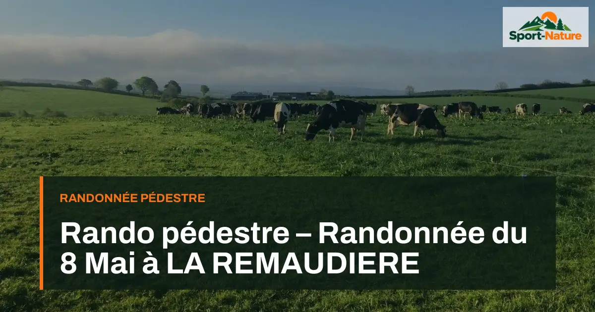 Rando pédestre – Randonnée du 8 Mai à LA REMAUDIERE
