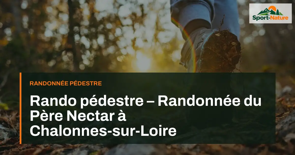 Rando pédestre – Randonnée du Père Nectar à Chalonnes-sur-Loire