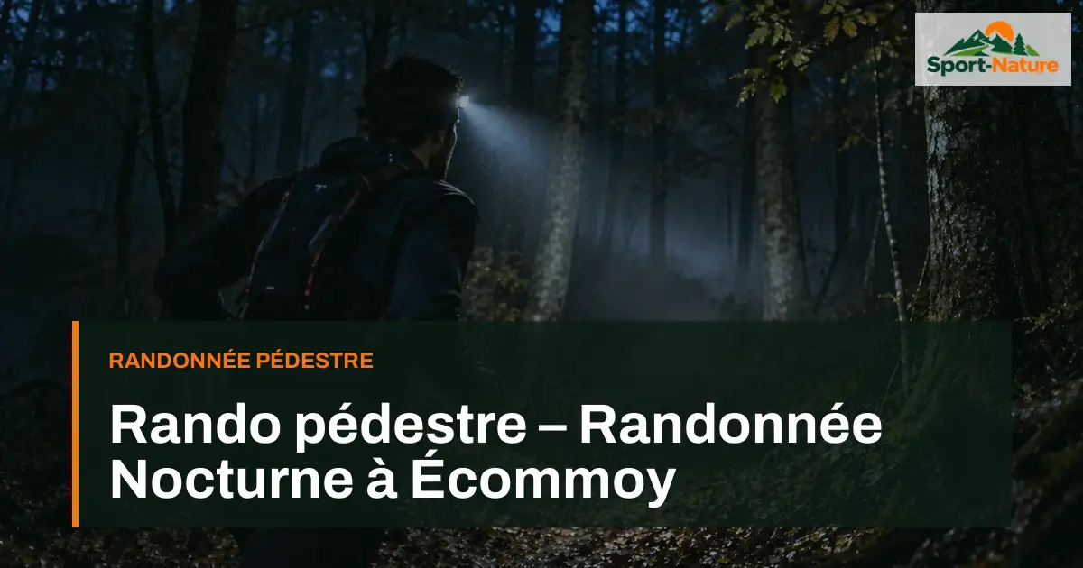 Rando pédestre – Randonnée Nocturne à Écommoy