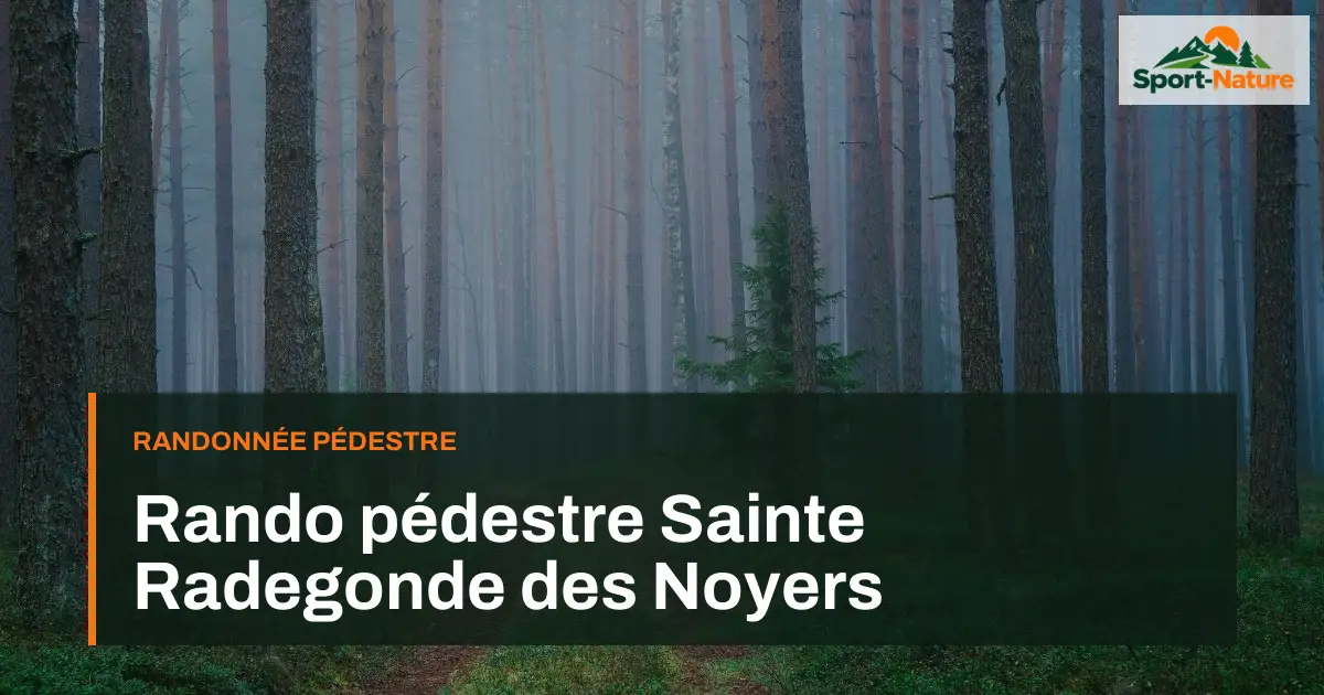 Rando pédestre Sainte Radegonde des Noyers