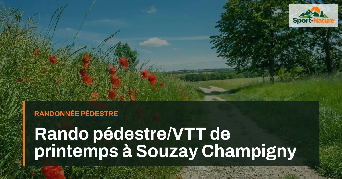 Rando pédestre/VTT de printemps à Souzay Champigny