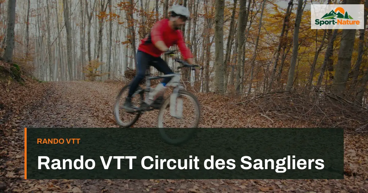 Rando VTT Circuit des Sangliers