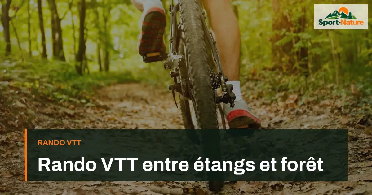 Rando VTT entre étangs et forêt