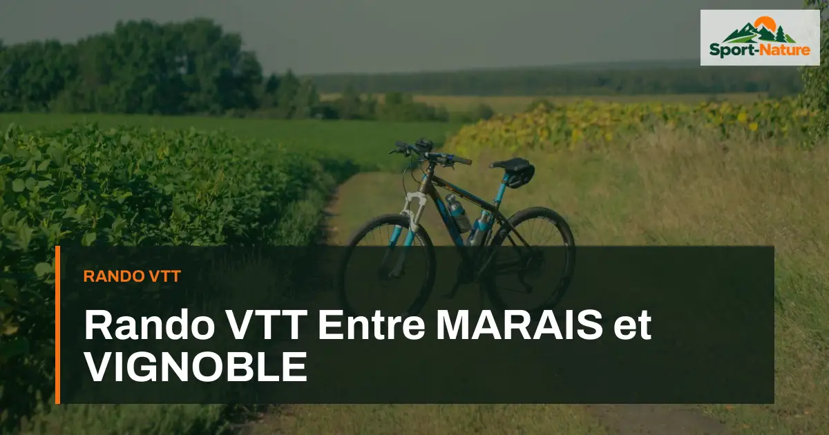 Rando VTT Entre MARAIS et VIGNOBLE