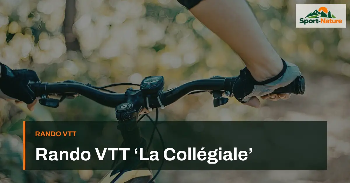 Rando VTT ‘La Collégiale’