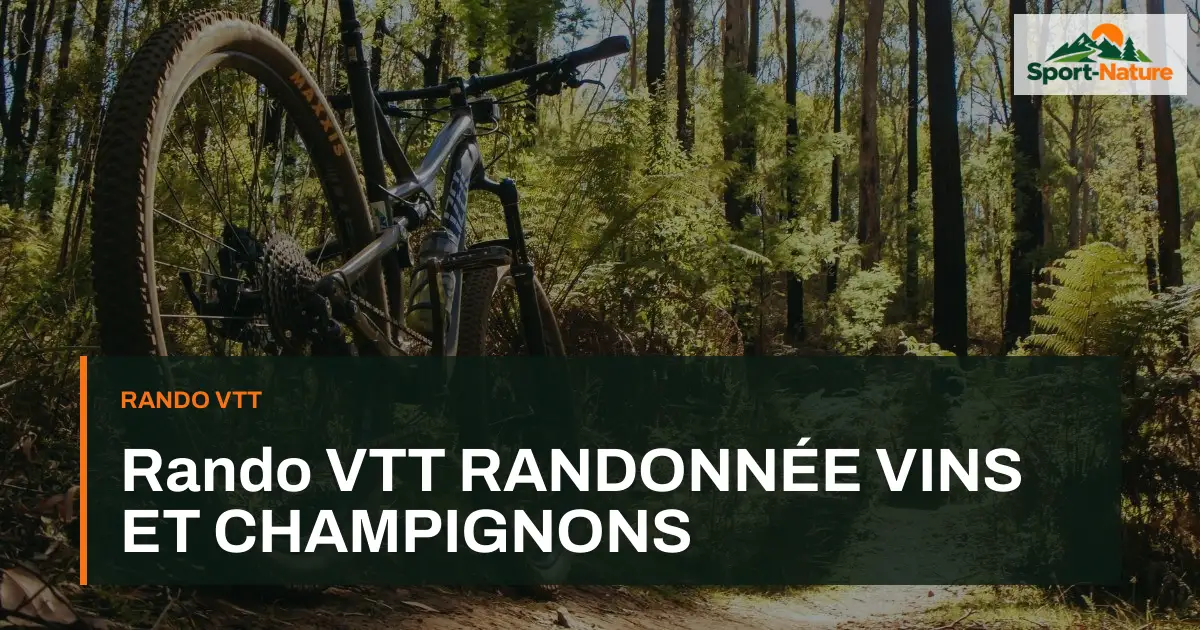 Rando VTT RANDONNÉE VINS ET CHAMPIGNONS