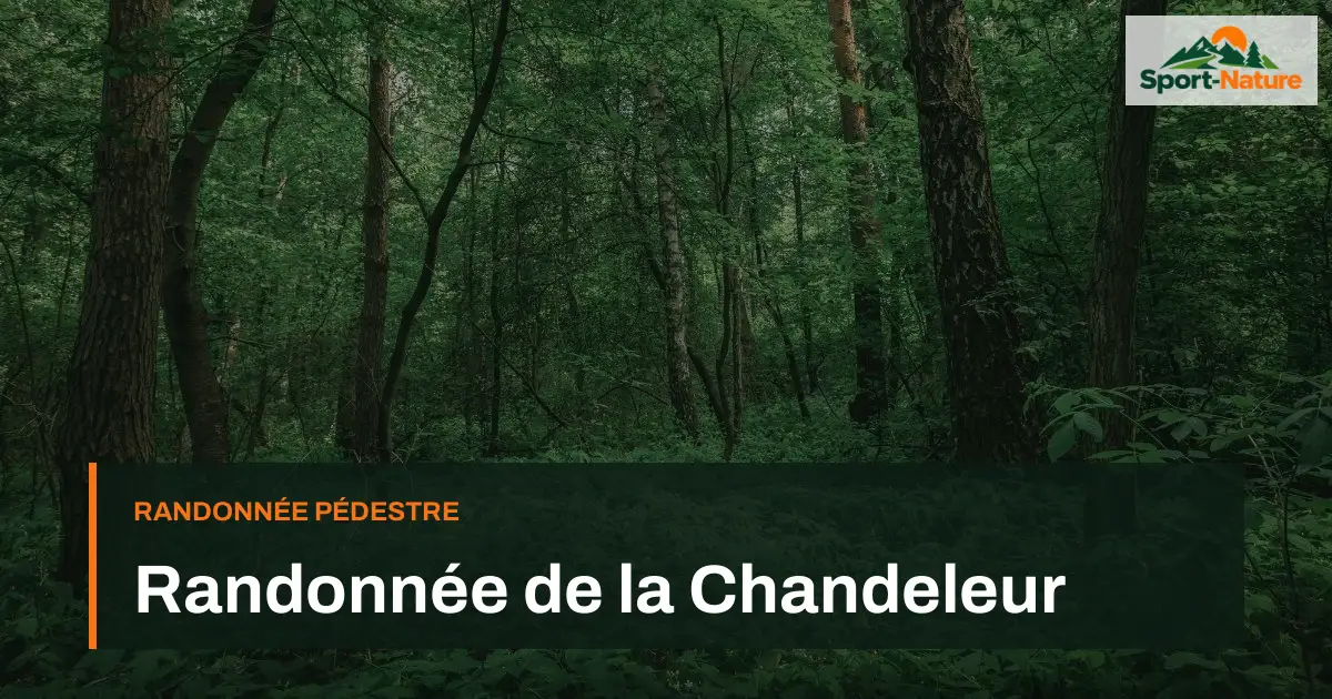 Randonnée de la Chandeleur