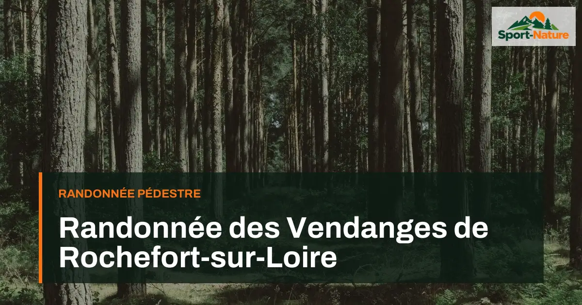 Randonnée des Vendanges de Rochefort-sur-Loire
