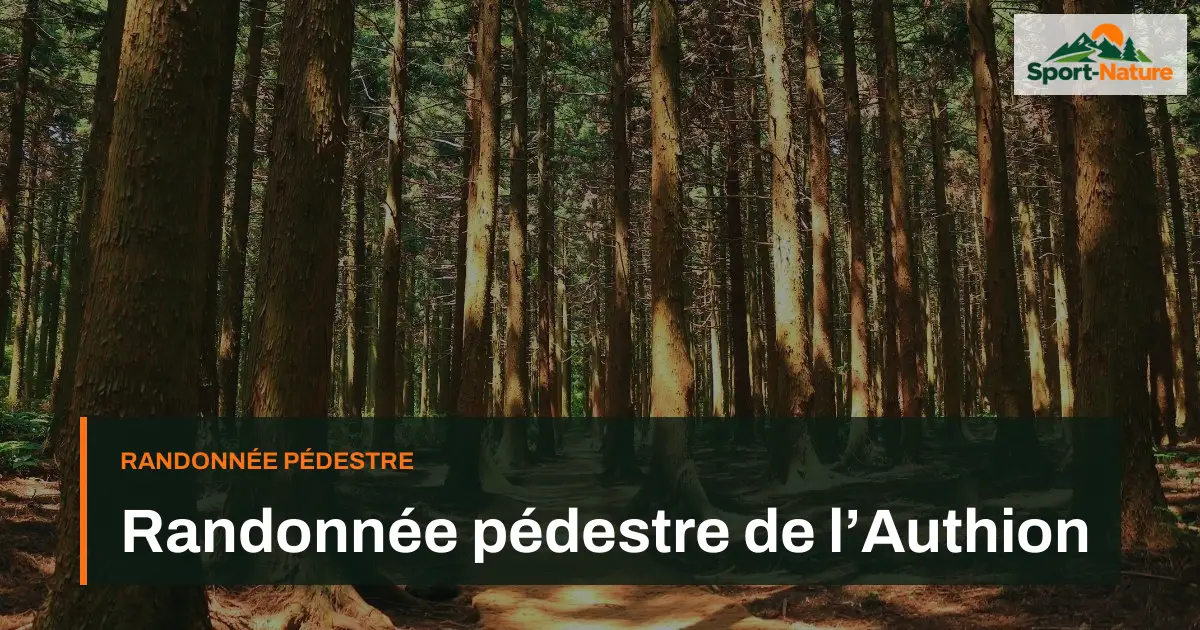 Randonnée pédestre de l’Authion