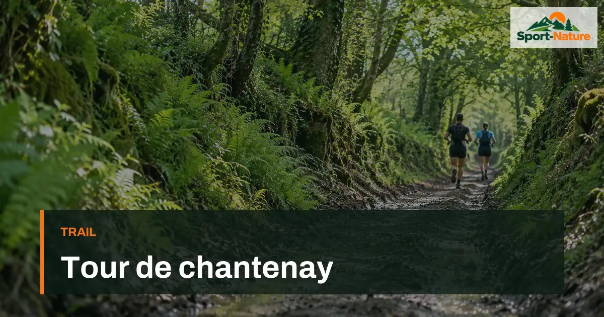 Tour de chantenay