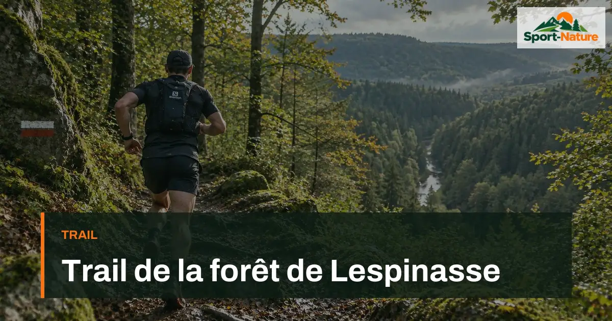 Trail de la forêt de Lespinasse