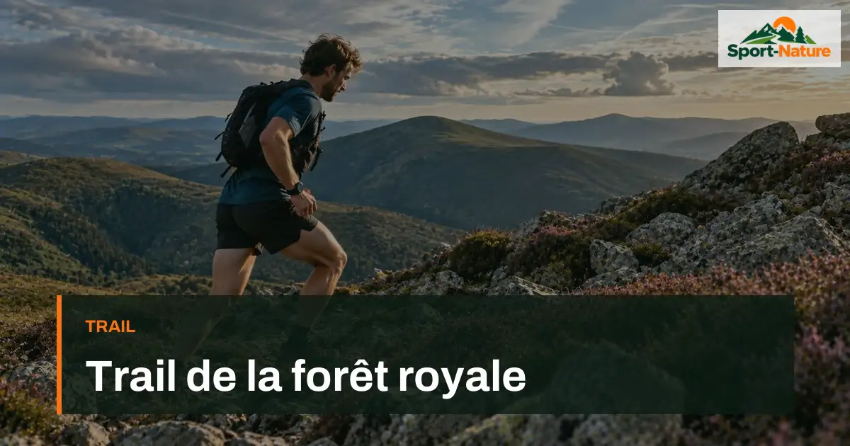 Trail de la forêt royale