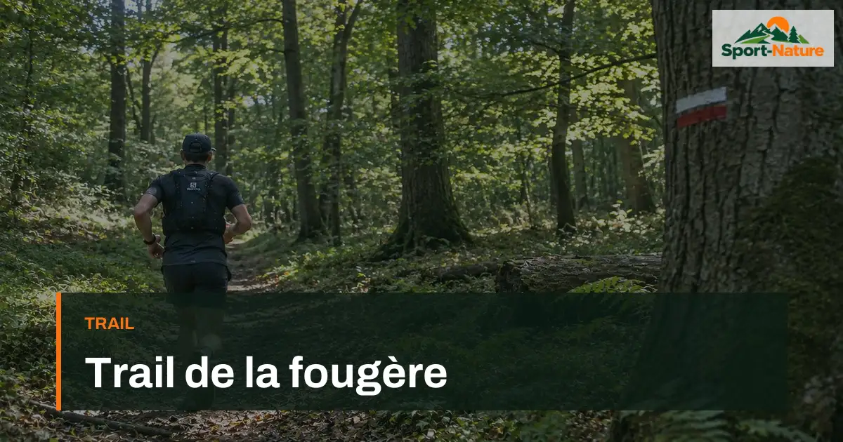 Trail de la fougère