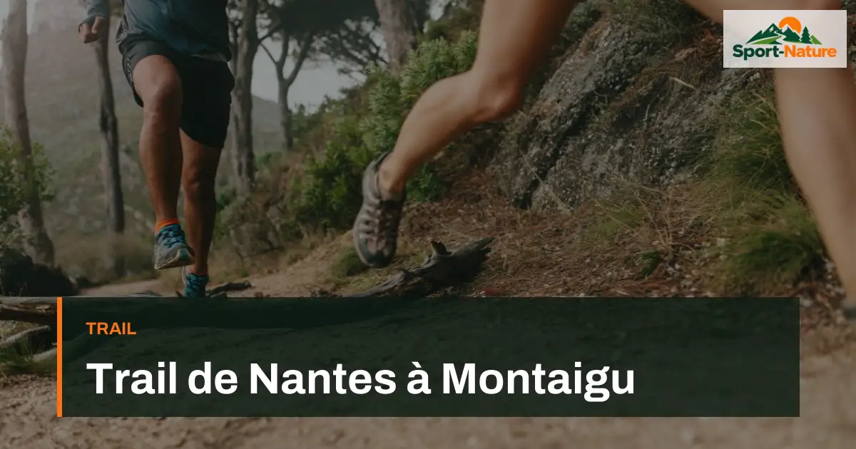 Trail de Nantes à Montaigu