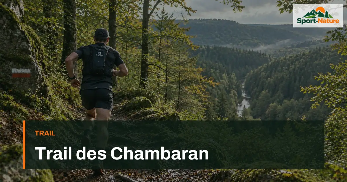 Trail des Chambaran