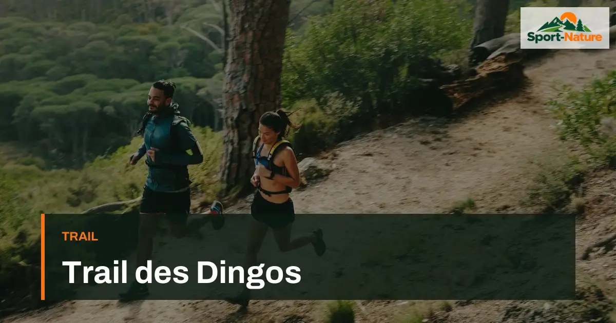 Trail des Dingos