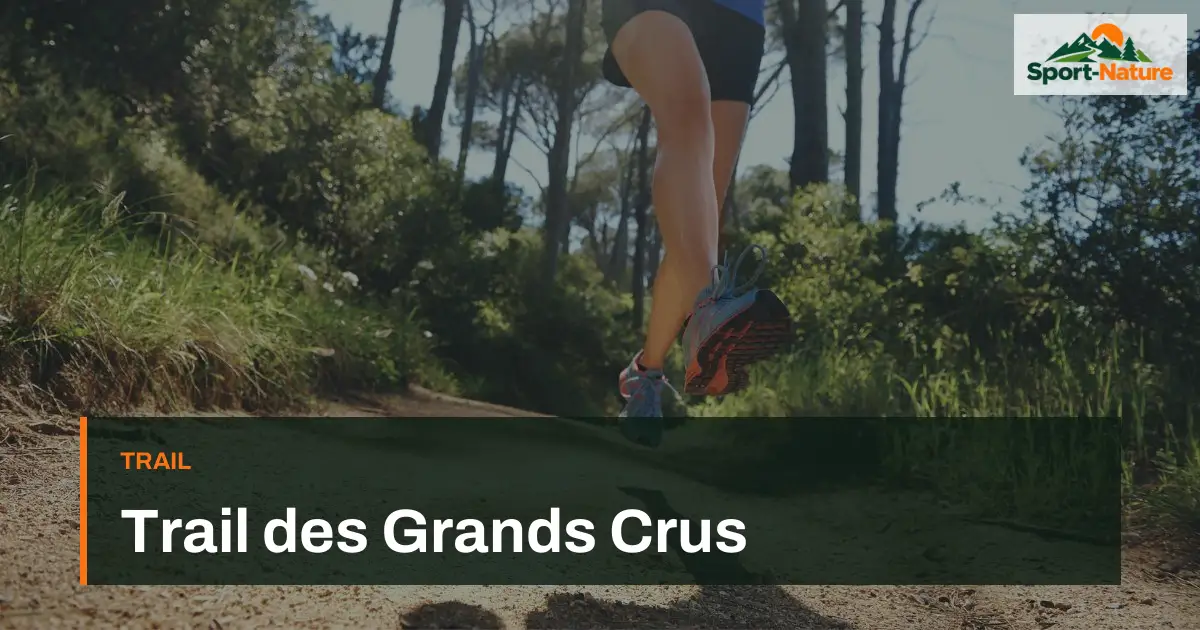 Trail des Grands Crus