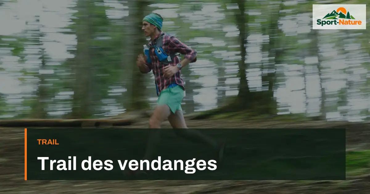 Trail des vendanges
