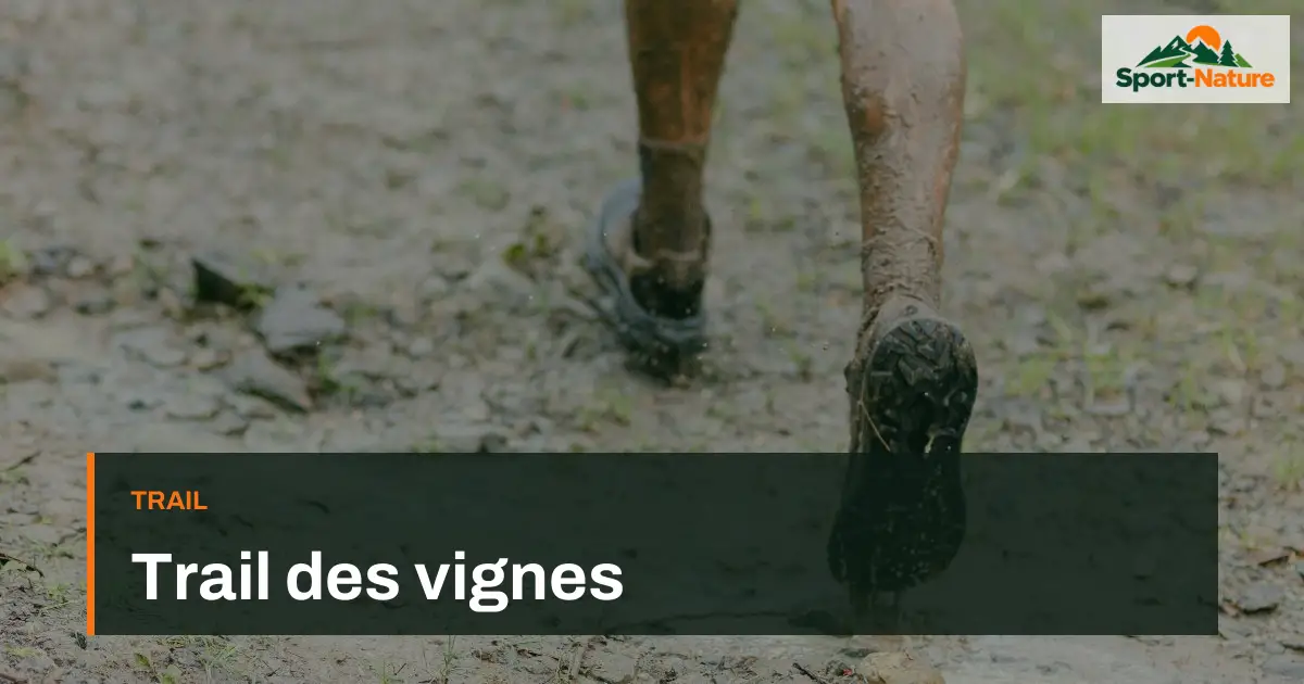 Trail des vignes