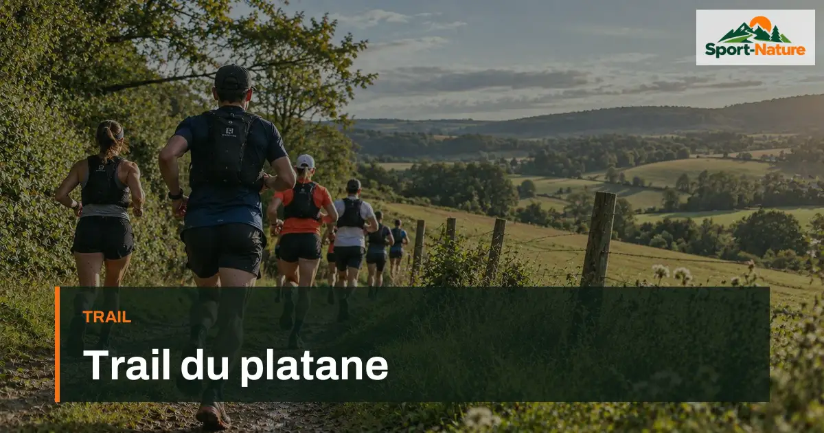 Trail du platane