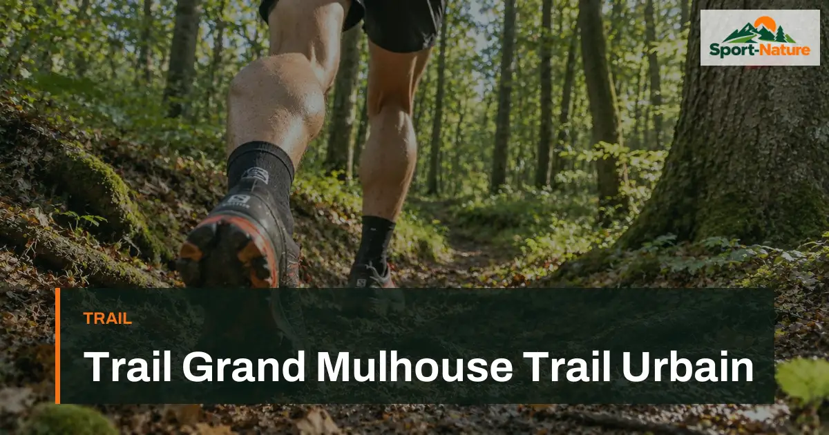 Trail Grand Mulhouse Trail Urbain