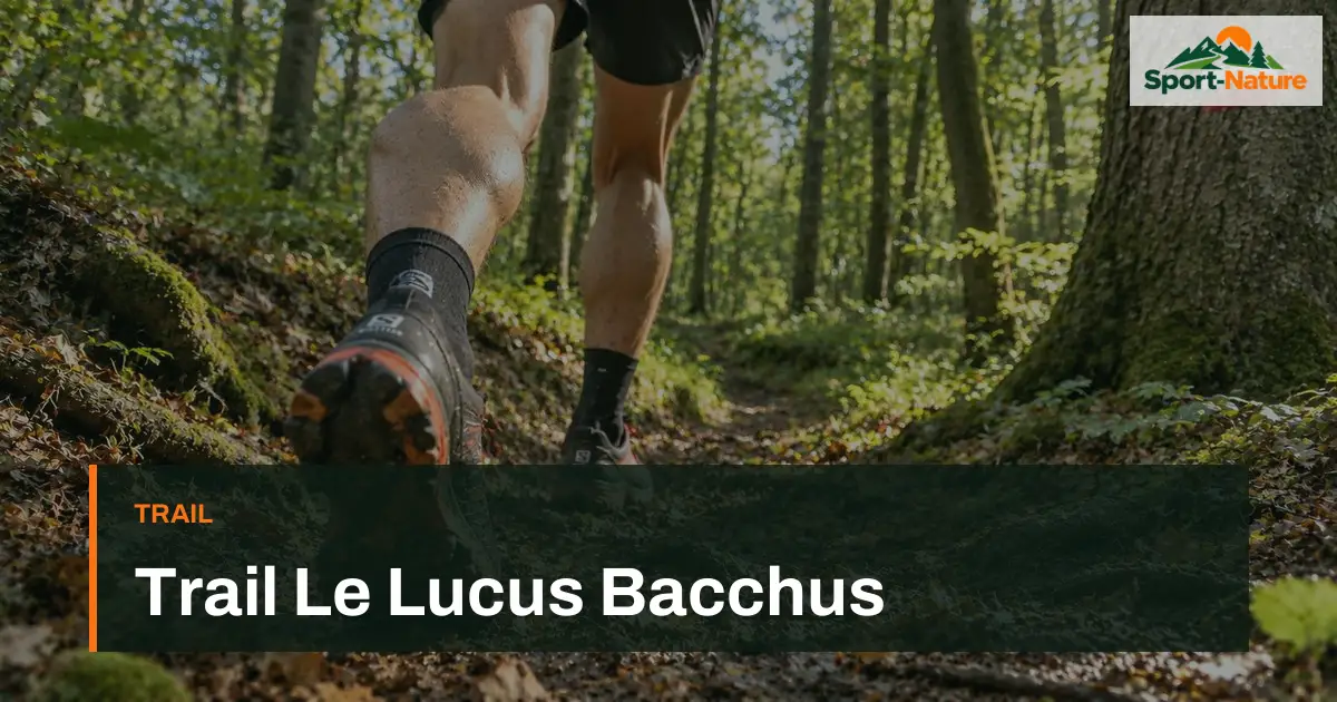 Trail Le Lucus Bacchus