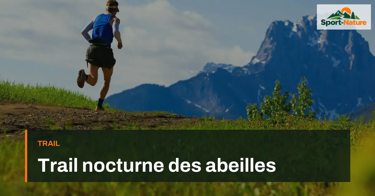 Trail nocturne des abeilles