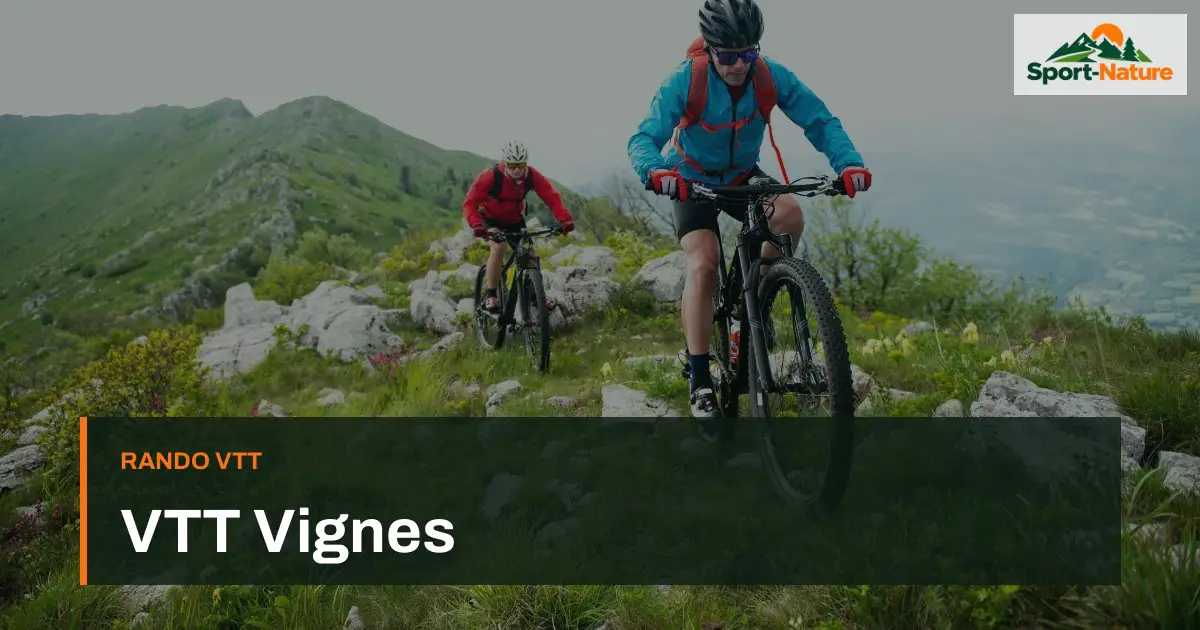 VTT Vignes
